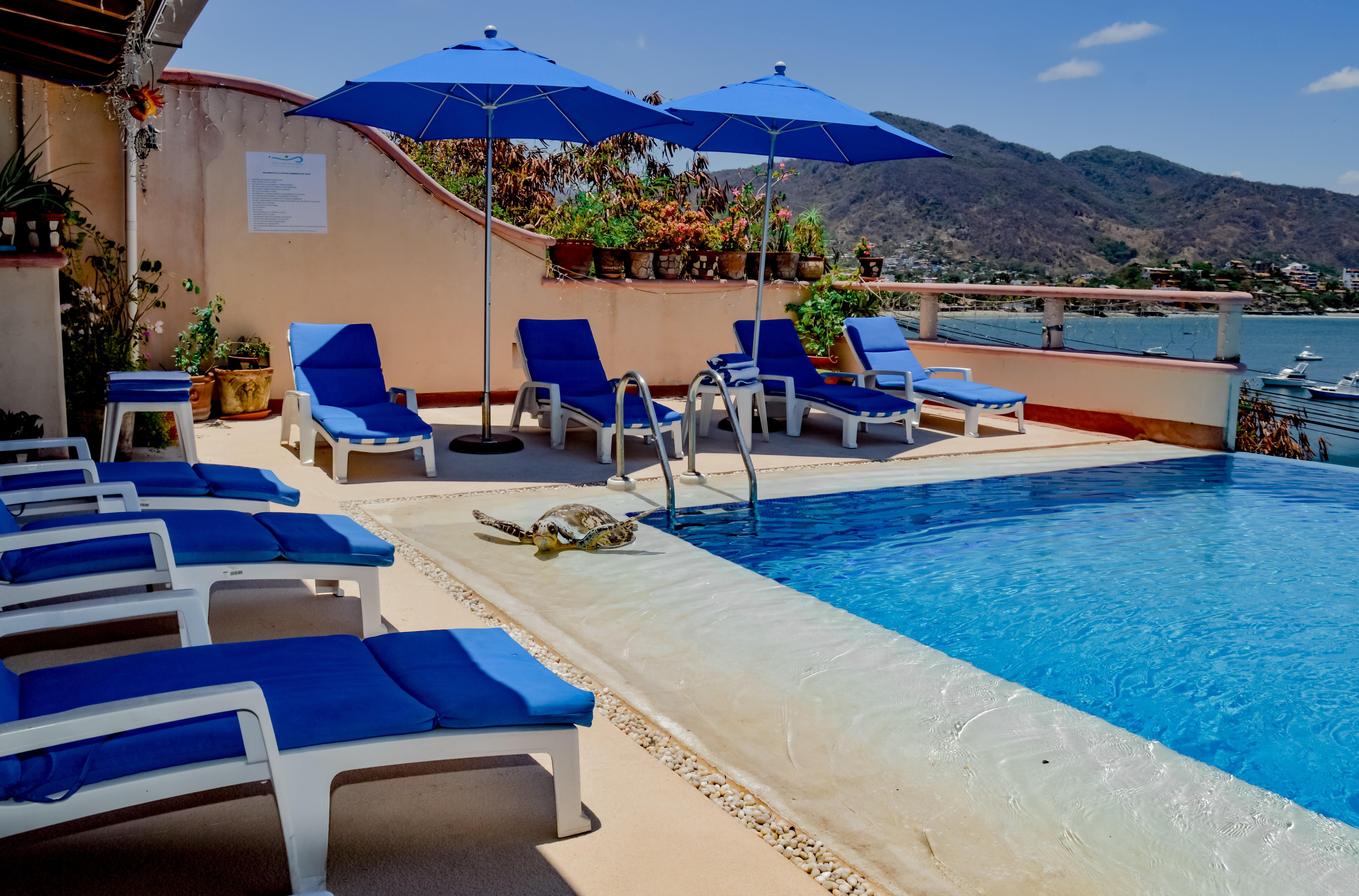 Villa Del Pescador Zihuatanejo Extérieur photo